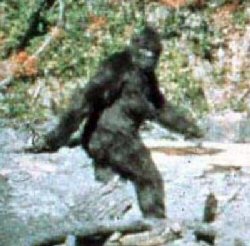 /img/bigfoot.jpg